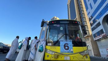 サウジアラビア:違法なハッジ巡礼の輸送は50,000リヤルと6ヶ月の懲役で罰せられる