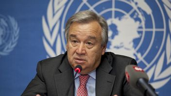 Sending Letter to the UN Security Council regarding the Gaza War, UN Secretary General: We Face a Huge Risk of Collapse of the Humanitarian System
