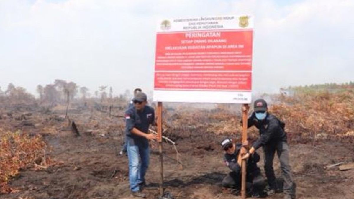 The Ministry Of Environment And Forestry Is Aware Of The Peak Of Forest And Land Fires Due To Drought