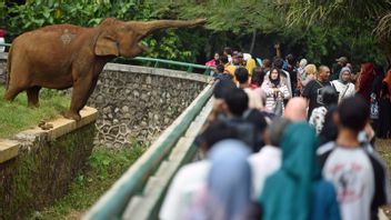 Buang Sampah Sembarangan Saat Liburan di Ragunan Bakal Didenda Rp500 Ribu