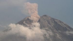 Senin Pagi Gunung Semeru Meletus, Muntahkan Lava Pijar hingga Letusan Asap