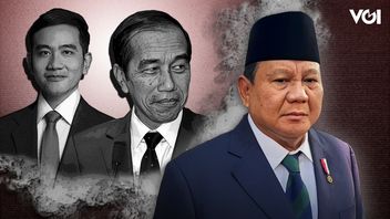 Matahari Kembar dan Pertarungan di 2029
