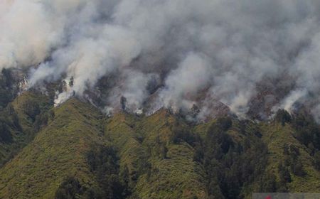 Sudah 5 Hari Berlangsung dan Semakin Meluas, KLHK Ungkap Masalah Akses dan Medan Terjal Persulit Pemadaman di Gunung Bromo