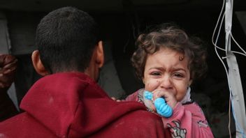 Canada Immediately Sends Aid To Gaza Strip By Air
