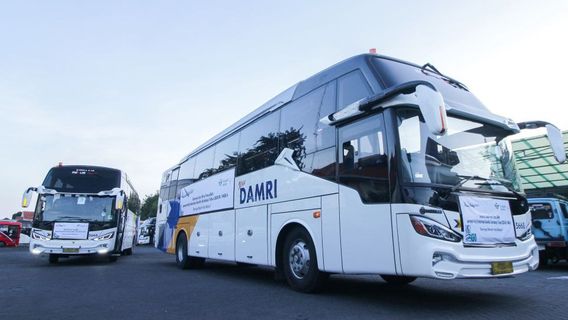 DAMRI Tebar Diskon Tickets 10 Percent for Lebaran 2025 返乡