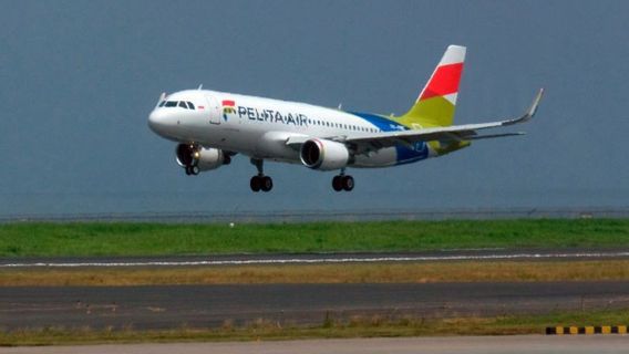 Ambisikan Add Flight Route Tahun Ini, Pelita Air Tunggu Tambahan Pesawat