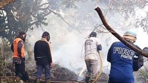Kahutla Melanda 435 Hektare Lahan Mineral di Kalbar, 235 Hektare Sudah Padam