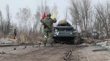 美国情报局局长：普京总统仍想夺取乌克兰大部分地区，但部队已经筋疲力尽