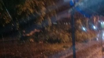  الأمطار الغزيرة والرياح القوية تحدث في كوتا بالي