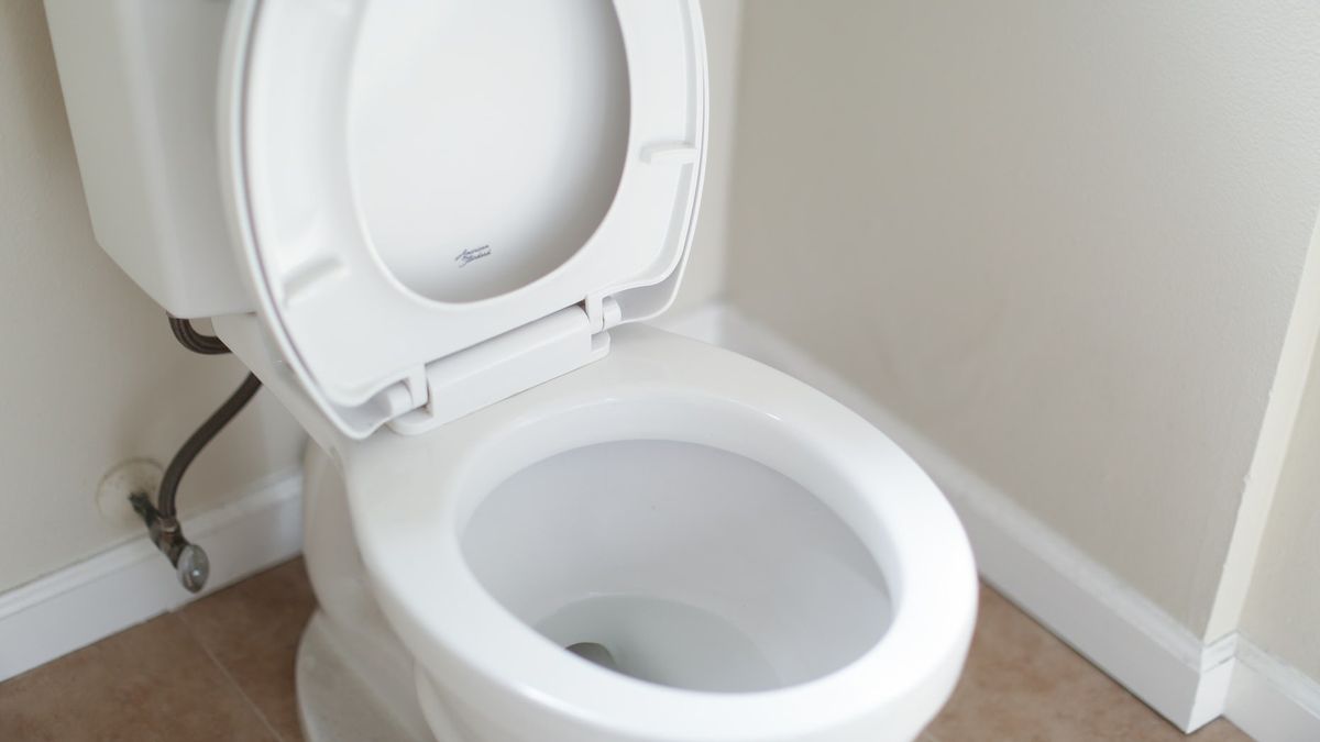 Wakil Bupati Belitung Beberkan Kebiasaan Tak Sehat Warganya: Mampu Bikin Rumah Tapi Malas Bangun Toilet