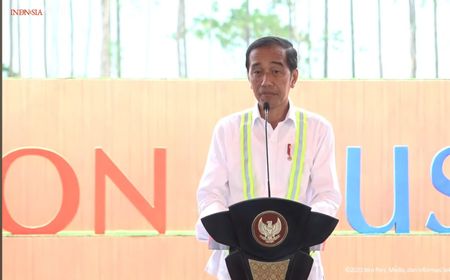 Jokowi Dorong Kemitraan ASEAN-Jepang Kuatkan Ketahanan Pangan dan Transformasi Digital