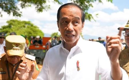 Produktivitas Jagung di Sumbawa Naik, Jokowi Sebut Potensi Kerugian Bisa Diminimalisir Pakai Bibit Unggul