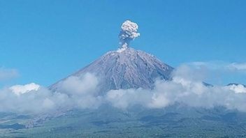 Gunung Semeru Erupsi Minggu Pagi, Tinggi Letusan Mencapai 600 Meter