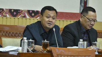 DPR: Putusan Hakim Kasus Kakek Masir Cerminkan Keadilan Substantif