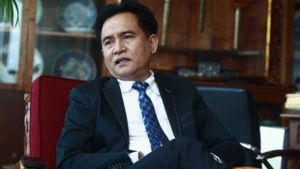 Yusril Ihza Mahendra Permasalahkan Lagi Kasus Ijazah Palsu Presiden Jokowi
