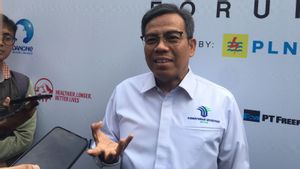 Kementerian Investasi Ajak Investor Tanami Hutan Gundul: Reboisasi Tanpa Kuras APBN