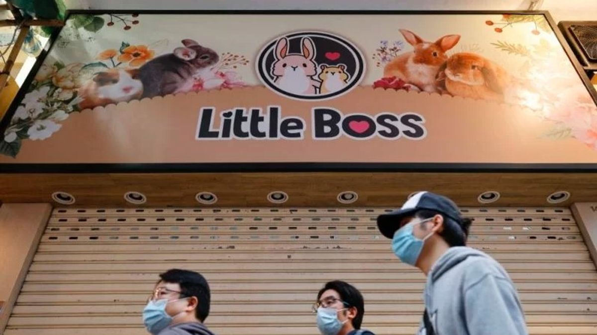 Berita Luar Negir: Hong Kong Minta Warga Tak Halangi Pemusnahan Hamster