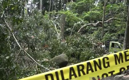 Monkey Forest Bali Tutup Sementara Usai 2 Wisatawan Asing Tewas Tertimpa Pohon Tumbang