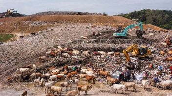 Viral Truk Sampah Rongsok Seliweran, Pemkot Semarang Bakal Remajakan 44 Unit dengan Anggaran Rp2,5 Miliar