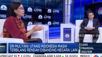 Disinggung Konglomerat Chairul Tanjung Soal “Menteri Keuangan Tukang Ngutang”, Sri Mulyani Blak-blakan Beri Penjelasan