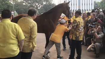 Golkar Rewards Horses To Prabowo, Airlangga: The Emblem Of The Advanced Indonesia Coalition