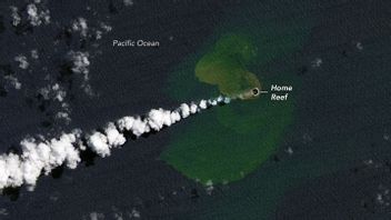 جزيرة جديدة مساحتها 2.4 هكتار تظهر بعد ثوران بركان تحت الماء في المحيط الهادئ