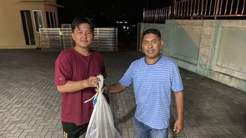 Maluku BKSDA Secures Pythons From Residents In Ambon