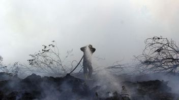Petugas Kesulitan Padamkan Kebakaran 70 Hektare Hutan di Dumai Riau