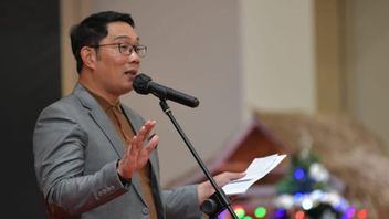 Survei IPS: Ridwan Kamil Dinilai Cocok Jadi Cawapres Ganjar Pranowo dan Anies Baswedan