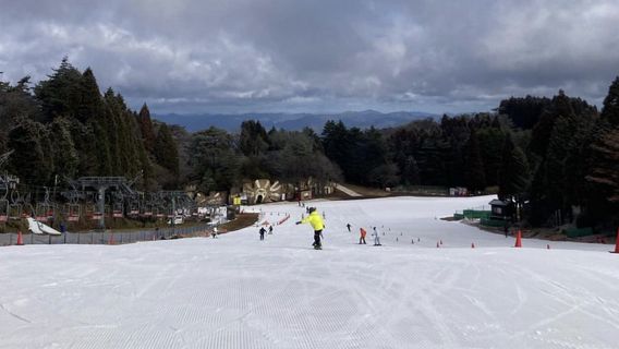 Musim Dingin Terlambat, Resor Ski di Jepang Bikin Salju Buatan