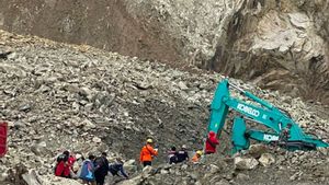 Inspector Of Mines Of The Ministry Of Energy And Mineral Resources Investigate The Landslide Of Mount Kuda Cirebon Eating 17 Victims