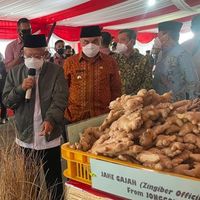 Entaskan Kemiskinan, Wapres Ma'ruf Minta Kaltim Permudah Izin Berusaha Masyarakat
