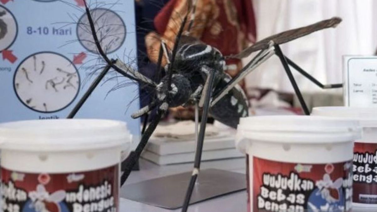 デング熱番号を押し、DKI保健局がボルバキア蚊を広げる