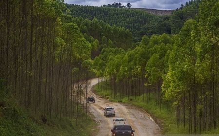 Otorita IKN Ingin Ahli Biologi Berperan Susun Konsep Kota Hutan Ibu Kota Negara Baru