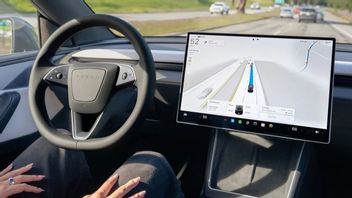 Strict European Regulation Hinders Tesla's FSD Technology Ambitions