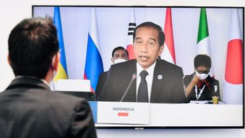 佐科威总统：印度尼西亚的经济增长是G20论坛成员国中最高的