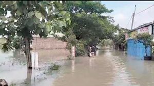 538 Hektare Sawah Petani di Sragen Tergenang Banjir Imbas Meluapnya Anak Sungai Bengawan Solo