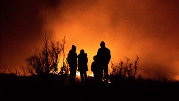 Kapten Kapal Pesiar Ditahan Jelang Sidang Kebakaran Hutan Yunani karena Kembang Api