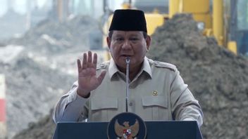 Prabowo: Di Tengah Dunia Penuh Konflik, Indonesia Pilih Perdamaian dan Kolaborasi