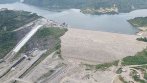 Bendungan Keureuto di Aceh Rampung, Bisa Atasi Banjir dan Dukung Ketahanan Pangan