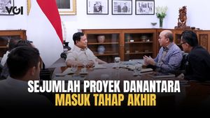 罗桑优先部门投资项目的Danantara Finalization:向公众开放