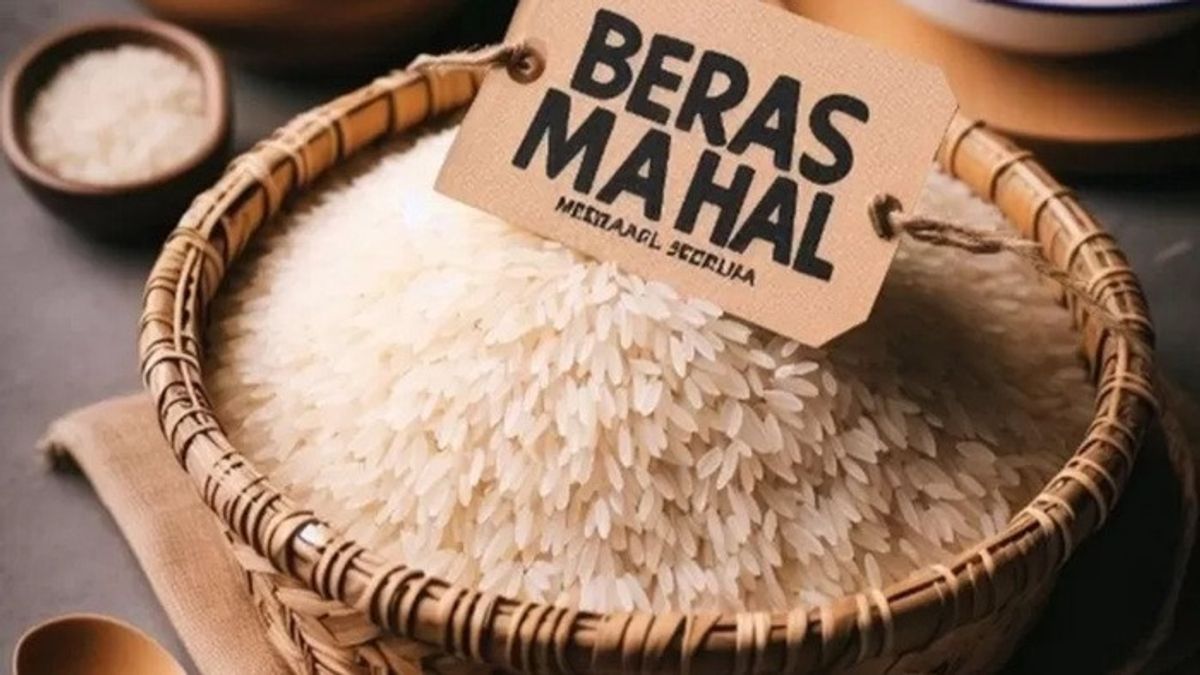 Tata Kelola yang Buruk Penyebab Beras Masih Mahal meski Stok Melimpah