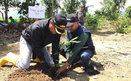 Pemkab Sigi Tanam Bambu di DAS Cegah Potensi Luapan Banjir