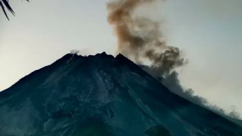 Info Gunung Merapi: Gunung Merapi Luncurkan Enam Kali Awan Panas Guguran