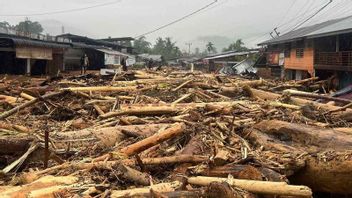 753 Died Due To Floods, DPR Legislator Urges Government To Stop Forest Utilization Permits