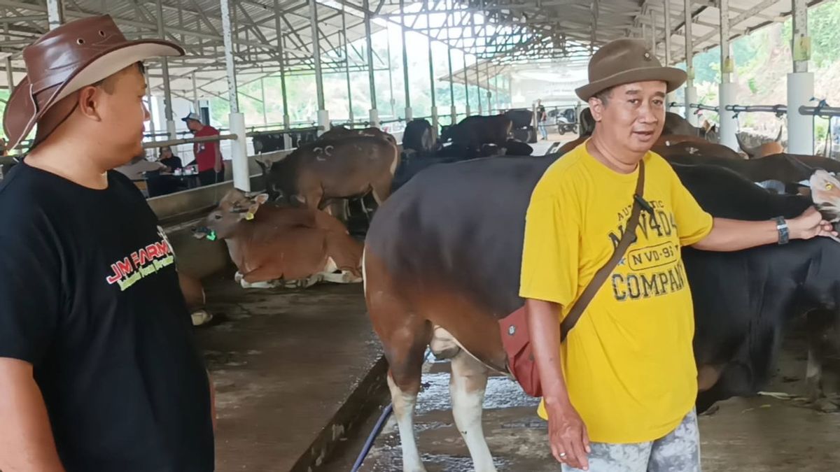 Les commerçants saisonniers d’animaux de sacrifice choisissent de vendre dans la zone frontalière de Bekasi - Bogor, c’est pourquoi