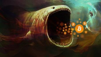 Horrifié Délicieux! 3 Baleines Bitcoin Canalisent 5 300 BTC De Plus à Un Moment Où Le Prix Plonge 