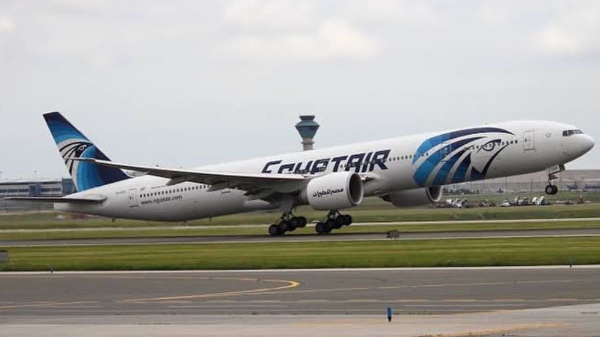 الوجه الذي سحقت به الحقيبة ، ركاب طائرة المطالبة EgyptAir بسبب الوجه التالف حتى سكتت أسنانه