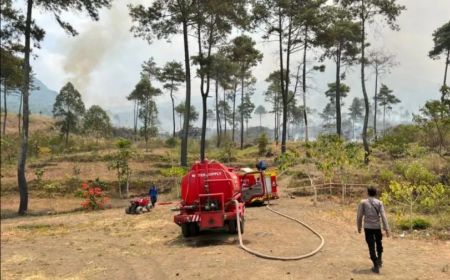 Hutan Gunung Guntur Sempat Karhutla, BKSDA Garut: Sekarang Pencegahan dengan Pantau dan Patroli