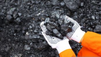 تجمع رواد الأعمال الفحم! أوروبا مستعدة لتشغيل محطات توليد الطاقة إذا اندلعت الحرب بين روسيا وأوكرانيا
